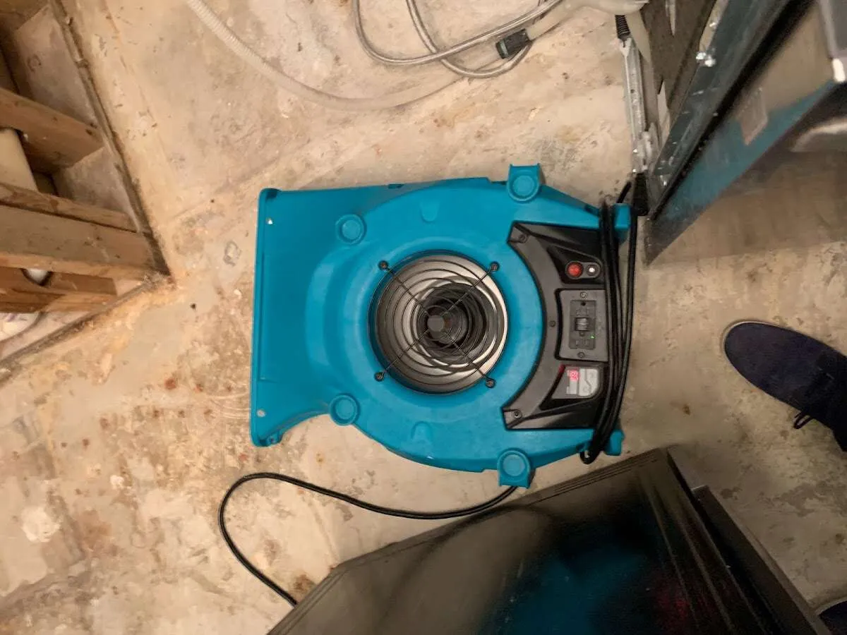 Air mover drying equipment for Mold Remediation & Removal in Palmdale